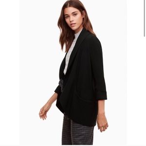 Aritzia Wilfred Blazer